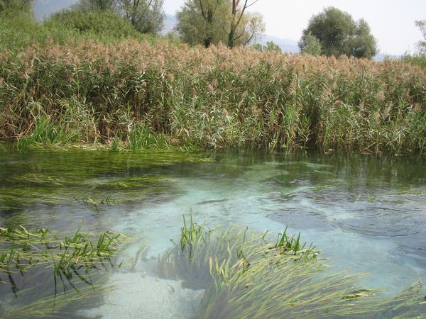 Canale Santa Susanna (tratto alto)